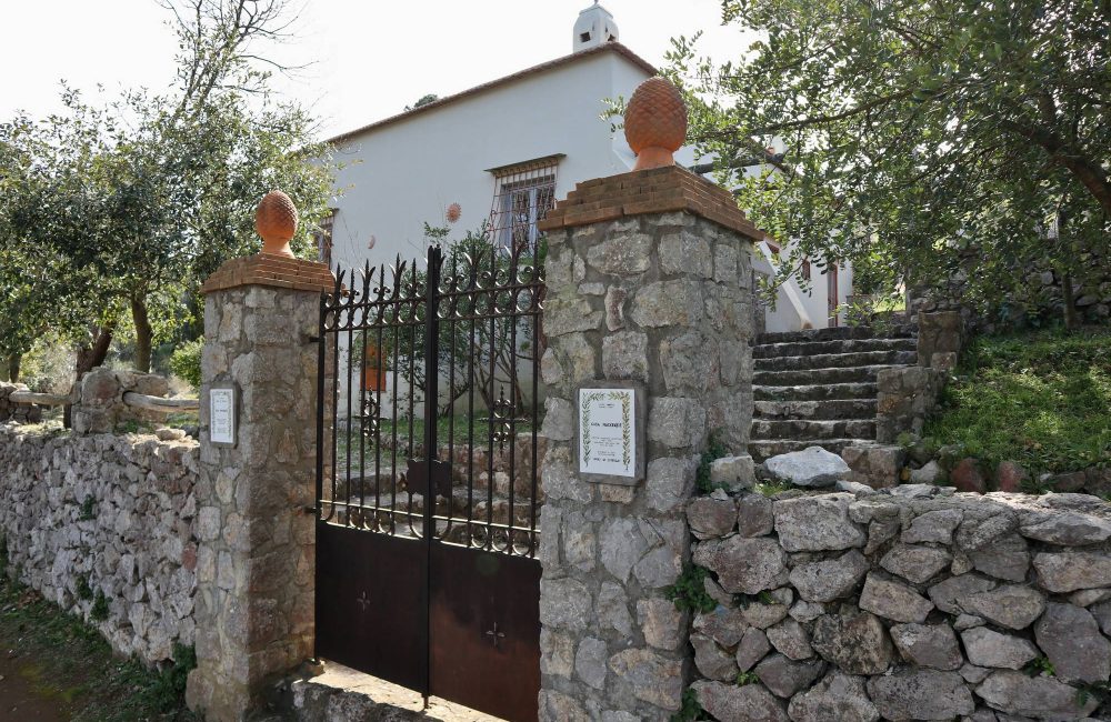 CASA MACKENZIE (2)