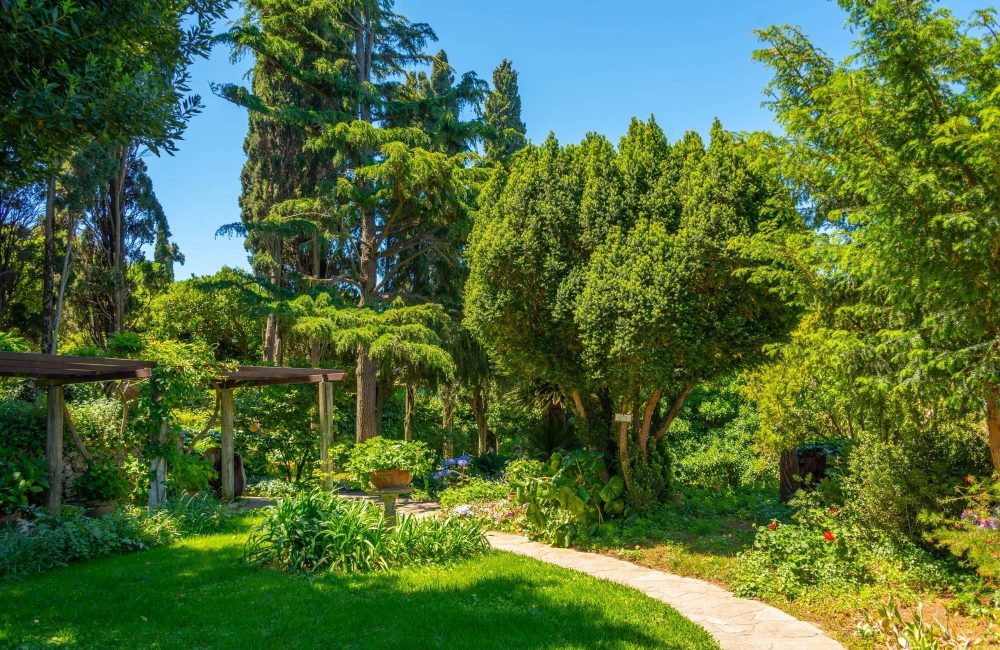 villa san michele capri (5)